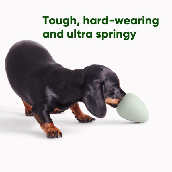 Beco Dog Toy - Natural Rubber Boredom Buster Enrichment Toy, Treat Ball - Green - Image 4