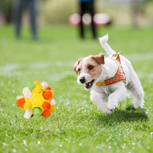 Snuffle Mat for Dogs,Interactive Dog Toys Ball,Dog Puzzle Toy,Dog Feeding Mats,Foraging Mat,Snuffle Ball for Dogs Sniffing Mat,Natural Foraging Skill,Dog Stimulation Toys for Small Medium Dog Pets - Image 5