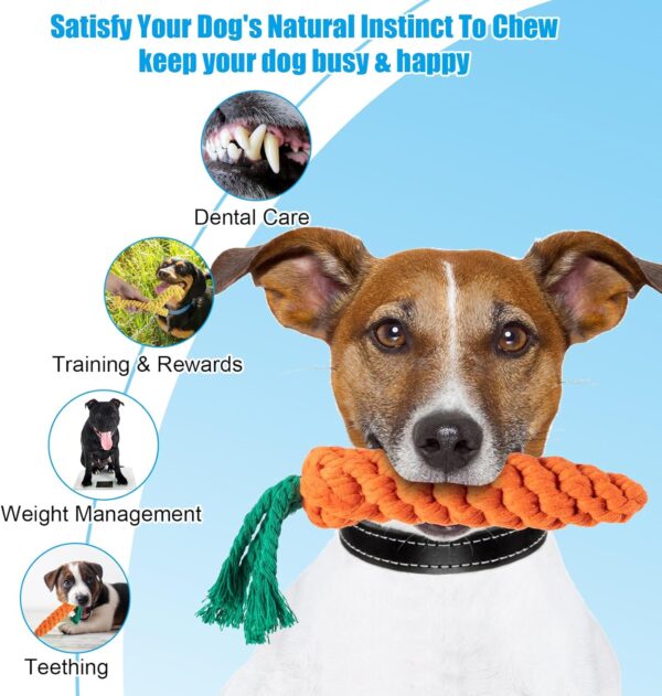 Puppy Teething Toys Indestructible Dog Toys Dog Chew Toys from 8 weeks Giraffe Carrot Dog Toy Tough Dog Rope Toy for Boredom Small Middle Dog - Image 4