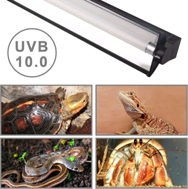 DERNORD T5 UVB Reptile Light - 10.0 24W T5 UVB Reptile Light Fixture UVB Strip Light High Output UVB for Bearded Dragon Tortoise 24 Inch - Image 7