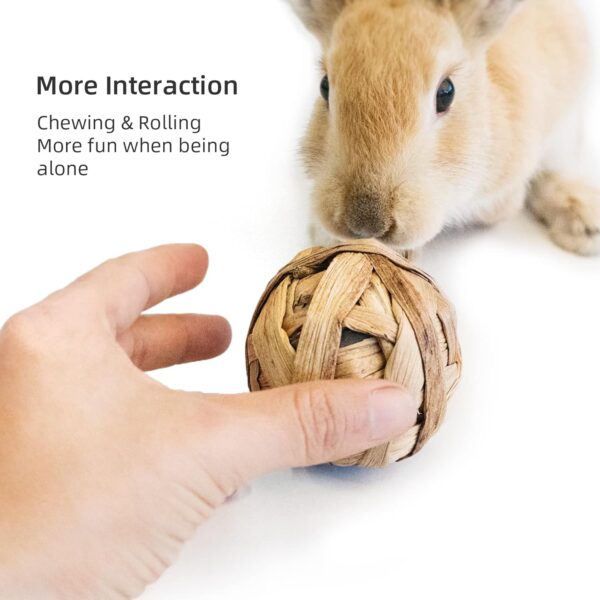 Niteangel Natural Chew Activity Toys Fun Safe Hay Grass Pet Balls for Chinchilla Guinea Pig Rats Rabbits Hamster Gerbil Degu Bunny and Other Small Animals (8 Balls) - Image 4