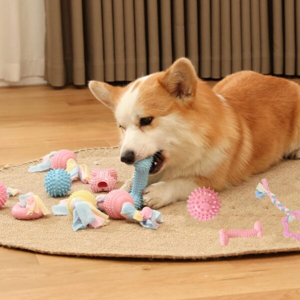 Aliangting Dog Puppy Teething Toys,6 Pack Pink Puppy Chew Toys Set With Ball and Cotton Ropes,dog toys for small dogs,Squeaky Interactive puppy teething toys from 8 weeks - Image 5