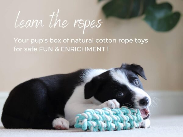 Puppy Rope Toys, Chew Ropes for Puppies from 8 weeks, Teething Toys for Play, Natural Dog Enrichment, Puppy Gift Box (Small-Medium) - Image 2