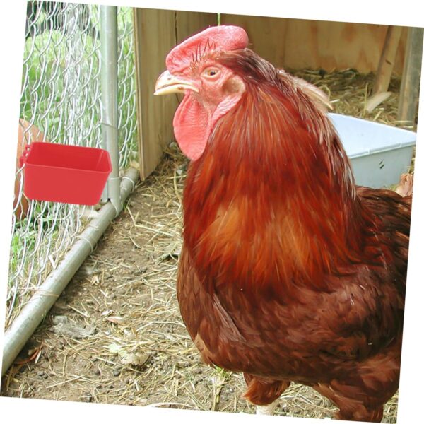 Yardwe 8pcs Bird Feeder Bird Cages Birdcage Pet Water Bowl Birds Feeder Small Feeding Supplies Bird Bowls for Cage Small Bird Food Holder Birds Supplies Chicken Feeder Plastic Red - Image 9