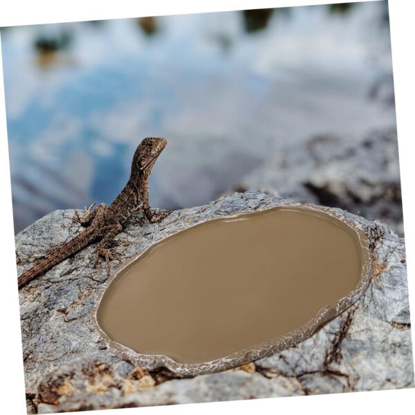 Yardwe 2pcs Climbing Pet Food Box Reptile Food Basins Pet Feeding Bowls Pet Feeding Dishes Water Holders Lizard Supplies Reptile Water Dish Resin Pet Food Basin Tortoise Food Bowls - Image 6