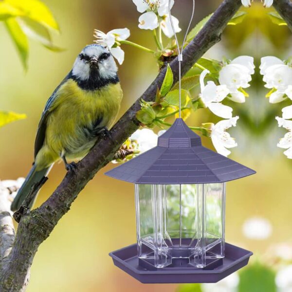 Zeqeey Mix Seed Blends Bird Feeder, Sunflower Heart Peanuts Nut Seed Birdfeeder, Food Holder for Hanging Outdoor Garden Attracting Dunnocks Sparrows Robins Wild Little Birds - Image 4