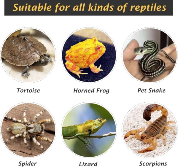 BREUAILY Reptile Ramps Platform Resin Turtle Basking Platform with Climbing Ramp Reptile Hide Cave Habitat Ornament for Bearded Dragon Lizard Frogs - Image 6