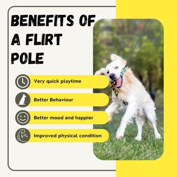 Petbud Flirt Pole Dogs Extra Strong UK | Suitable for Large,Medium,Small Dogs | Extendable Rope Tug Dog Toy | Outdoor and Indoor Use | Heavy Duty Flirt Stick - Image 5