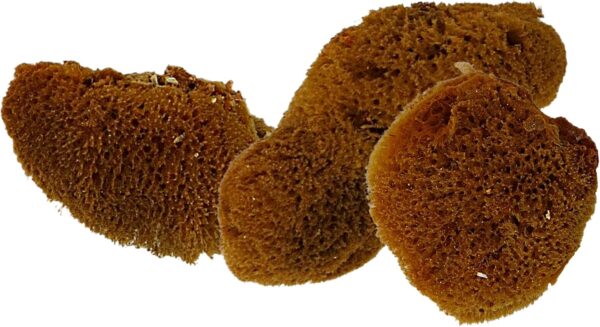 All in One Starter Kit Hermit Crab Habitat Supplies, DIY Terrarium Pack with Plastic Cage, Gravel, Scooper, Sponges, and Palm Tree Feeder for Crabs and Reptiles, 5 Pieces - Image 3