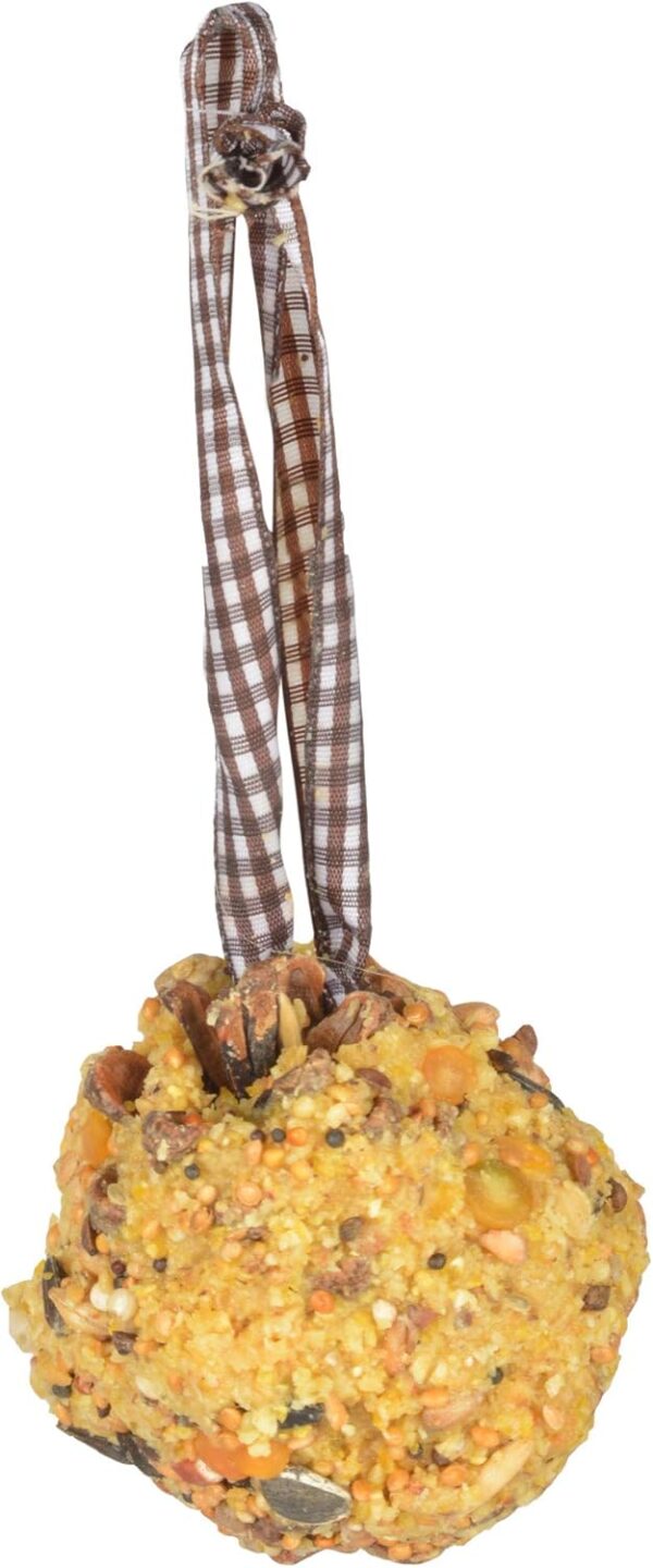 Fallen Fruits DIY Bird Food Pinecone - Image 3