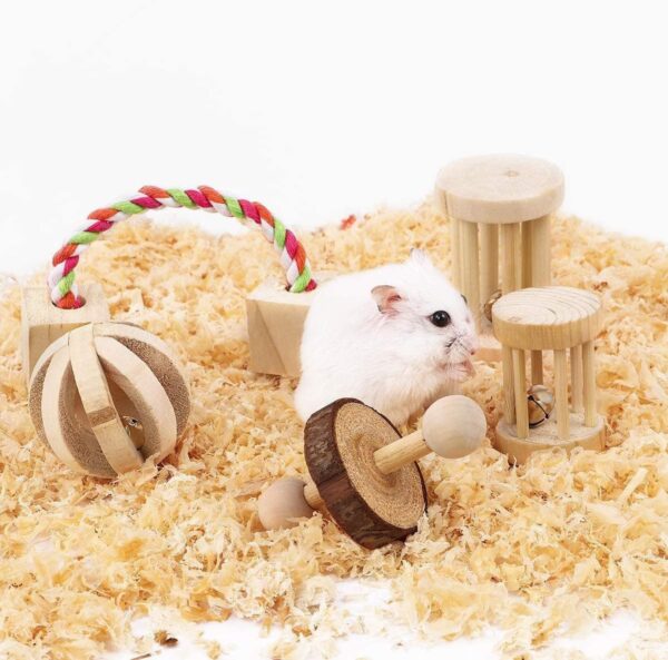 CCCYMM 6 Pcs Pet Natural Wooden Chew Toys Dumbells Exercise Bell Molar Toy for Parrot, Rabbit, Chinchilla, Guinea Pig, Hamster Small Animals - Image 4
