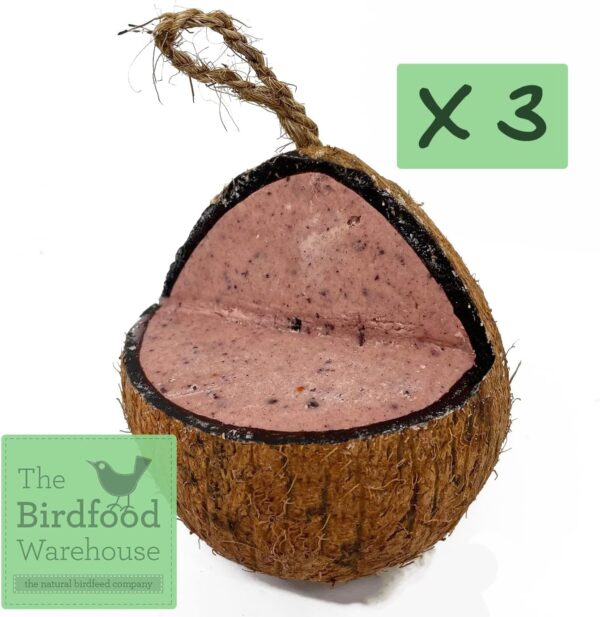 XL Fruit and Berry Suet Coconut Feeder, 3 Pack, Wild Bird Food, Butter for Birds, Hanging Feeder, Suet for Birds - Image 2