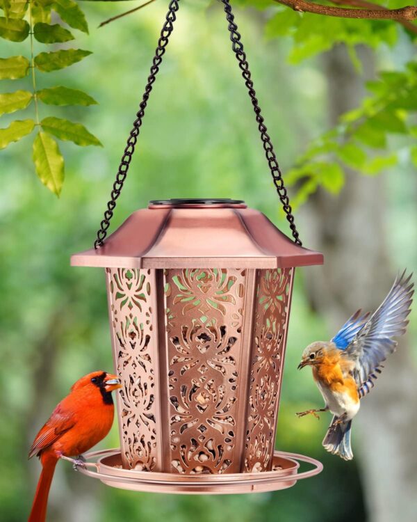 HouseSapp Solar Bird Feeders for Outdoors Hanging Premium Grade Metal Bird Feeder, Chew Proof, Weather and Water Resistant Wild Bird feeders, Outside and Garden Decoration - Image 2