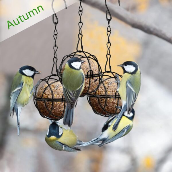 SUNYOK 4 Pcs Fat Ball Feeders Hanging Bird Feeder Metal Fat Ball Bird Holder with 4 S-shaped hooks for Outdoor Garden Wildlife Birds Finch Sparrow Robin - Image 5