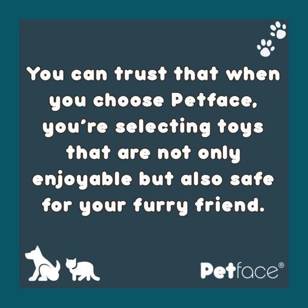 Petface Tough Duck Plush Dog Toy, 48 cm - Image 6