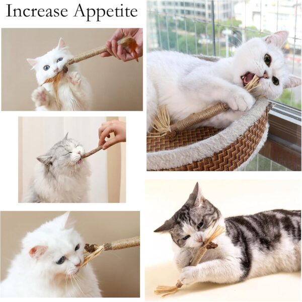 GIAPINST Natural Matatabi Silvervine Chew Sticks, Cat Catnip Sticks For Cats, Cat Catnip Toys For Indoor Cats Adult, Kitten Teething Dental Care, Increase Appetite and Stress Release(21 pcs) - Image 6