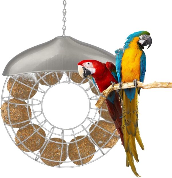 Hanging Feeder For Wild Birds Feeder Basket For Lovebirds Garden Sparrows Wild Bird Feeding Food Dispenser Storage - Image 2