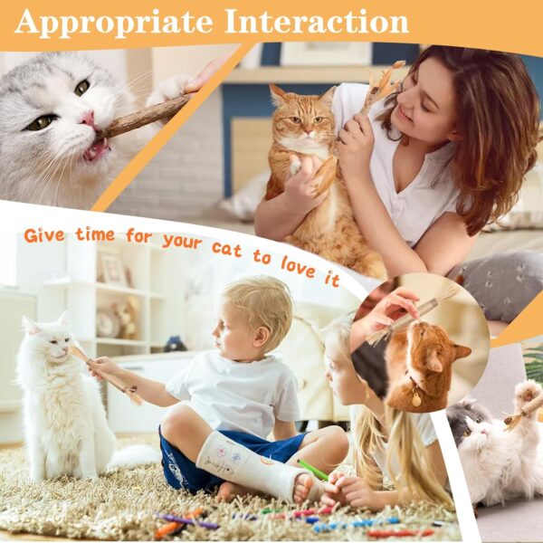 GIAPINST Catnip Sticks For Cats, Natural Matatabi Silvervine Chew Sticks, Catnip Toys for Indoor Cats, Kitten Teething Toys Dental Care, Increase Appetite, Calm Cat Anxiety(21Pcs) - Image 6