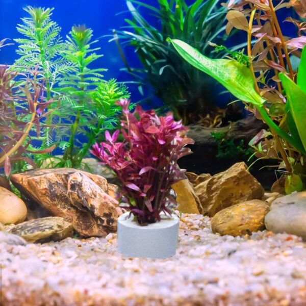 HAICN Ceramic Rings for Live Aquarium Plants Water Plants Fixed Ring Fish Tank Holder Plant Gravity Ring Aquarium Fish Tank Anti-Floating Accessories (10) - Image 5