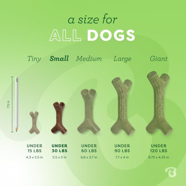 Benebone Indestructible Stick Dog Chew Toy for Aggressive Chewers, Long Lasting Tough Boredom Breaker for Dogs, Real Maple Wood Flavour, For Small Dogs, Made in the USA. - Image 4