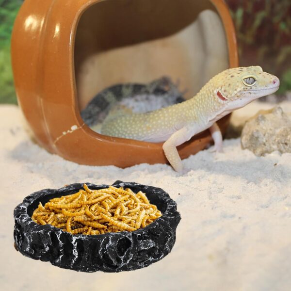 Frcctre 4 Pack Reptile Food Dish Bowl, Reptile Feeding Dish Water Bowl, Amphibian Reptile Breadworm Feeding Terrarium Bowl for Leopard Gecko Lizard Tortoise Frog Bearded Dragon Chameleon - Image 8