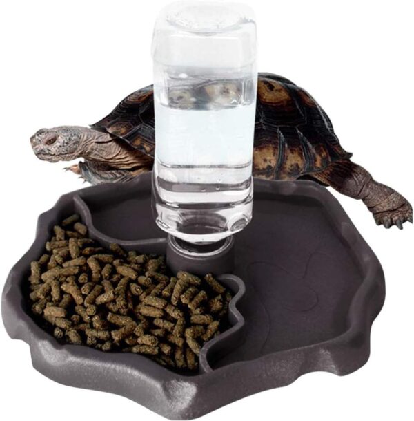 QIODAZOO Bowls for Reptiles Amphibians, Tortoise Accessories 2 IN 1 Reptile Feeding Dish Automatic Dispenser Tortoise Water Dish, Dark Brown - Image 7