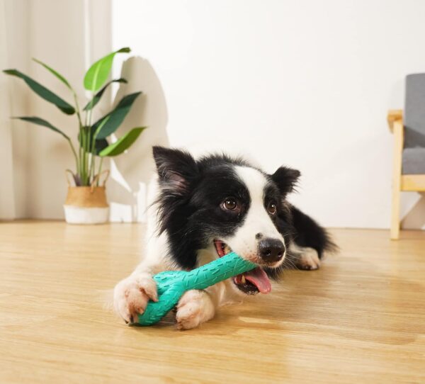 Acecy Dog Toys, Indestructible Cactus Chew Toy, Natural Rubber Milk Flavor, Puppy Teething Toys for Small Mediul Large Breed - Image 6
