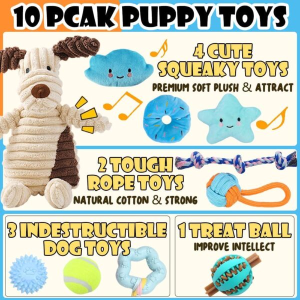 10Pcs Dog Chew Toys for Small Dogs, Puppy Teething Ball Toys, Dog Toys for Boredom, Squeaky Plush Dog Toys Set for Small Medium Dogs - Image 2