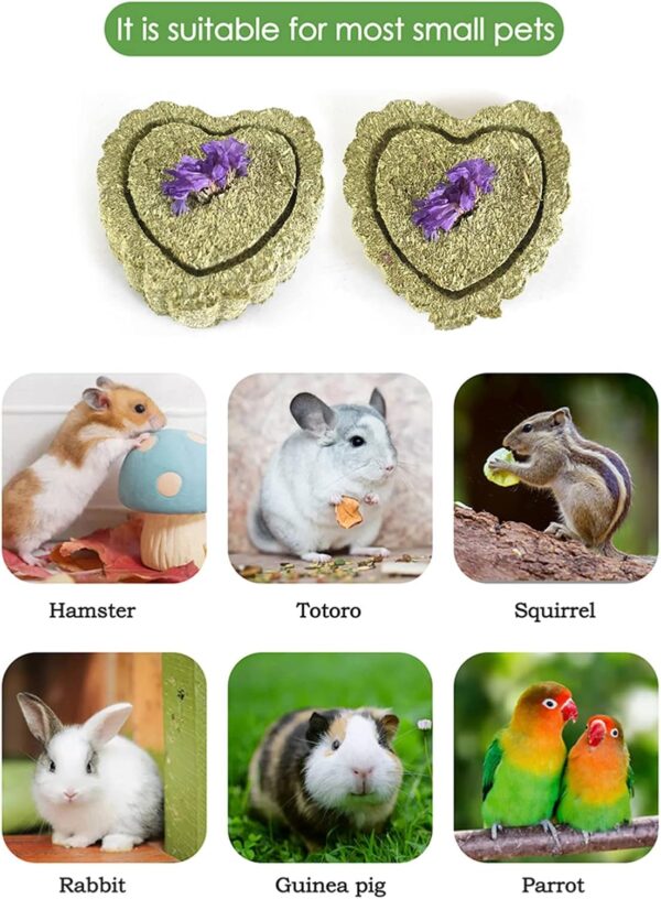 RoadLoo Rabbit Chew Toys, 32Pcs Bunny Chew Toys for Teeth Natural Hay Chew Toy Chew Mats for Rabbits Boredom Breaker Small Rodent Pet Teeth Treats Toys - Image 6