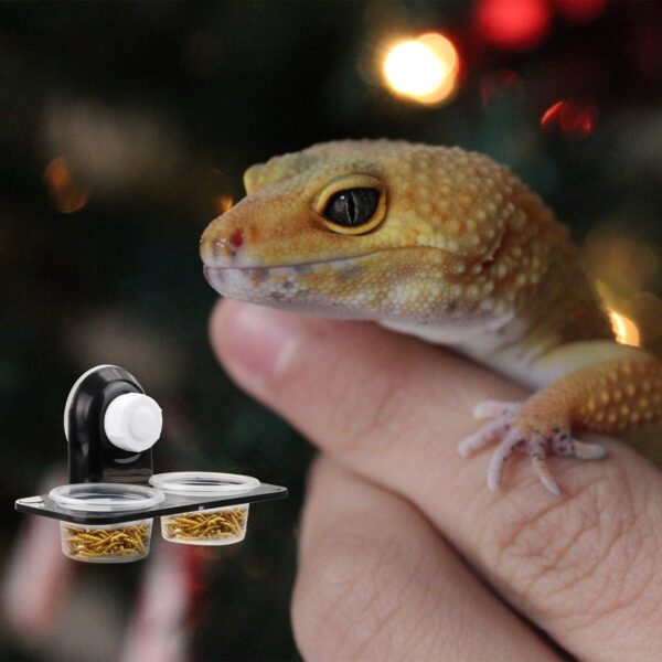 Rumyve 2PCS Reptile Feeder,Double Bowl Plastic Gecko Feeding Ledge,Removable Reptile Feeding Dish and Suction Cup - Image 5