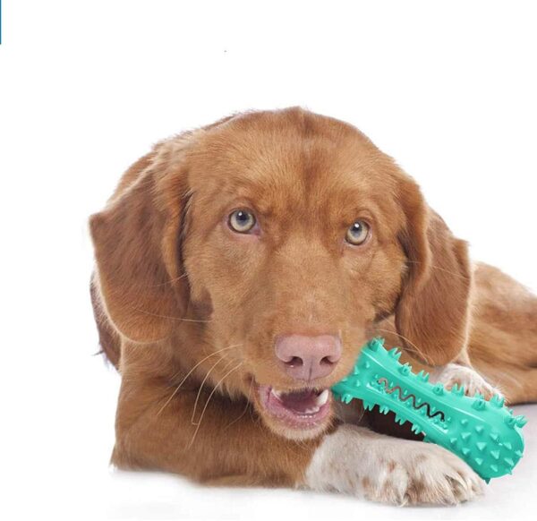 Toothbrush Dog Chew Toy, Stick Bone for Dog Teeth Cleaning, Tooth Brushing, Teething Chew Toys, Dental Oral Care for Small, Medium and Large Dogs(Blue) - Image 7