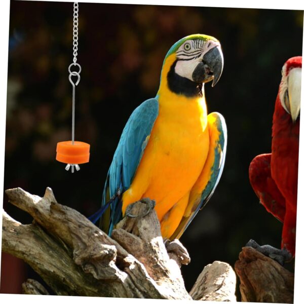 Yardwe 3pcs Parrot Fork Vegetables Pet Supply Bird Fruit Holder Hanging Bird Feeding Fork Birds Food Holder Bird Feeder for Fruits Underslung Feeder Food Stick Stainless Steel For Birds - Image 2