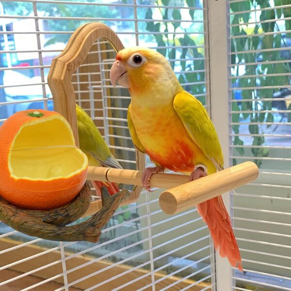 Satiskid Bird Feeding Dish Bird Water Bowl Bird Cage Feeder Hanging Seed Food Container,No Mess Bird Feeder Cage Accessories for Parrot Budgie Lovebirds Cockatiel Parakeet Cockatoo (Orange Tangerine) - Image 6