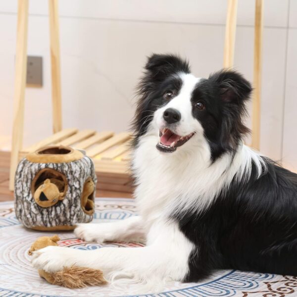 Laifug Hidden Squirrel Plush Dog Toy， Interactive Squeaky Dog Toy Hide and Seek, L - Image 6