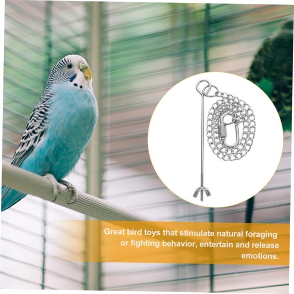 Yardwe 3pcs Parrot Fork Vegetables Pet Supply Bird Fruit Holder Hanging Bird Feeding Fork Birds Food Holder Bird Feeder for Fruits Underslung Feeder Food Stick Stainless Steel For Birds - Image 8