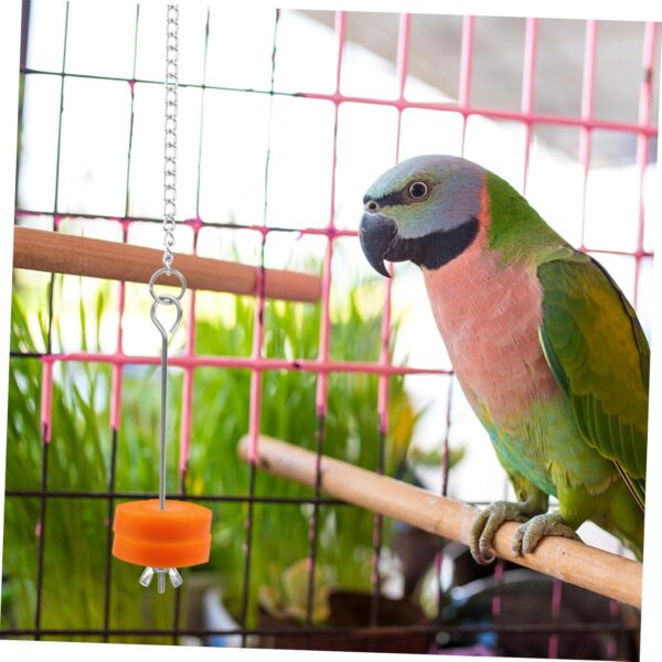 Yardwe 3pcs Parrot Fork Vegetables Pet Supply Bird Fruit Holder Hanging Bird Feeding Fork Birds Food Holder Bird Feeder for Fruits Underslung Feeder Food Stick Stainless Steel For Birds - Image 9