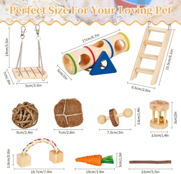 SONNIG 11 PCS Hamster Toys, Natural Wooden Chew Toys for Small Animals Teeth Care and Exercise, Guinea Pig Toys Gerbil Toys Rat Toys Boredom Breakers and Accessories for Cage - Image 2