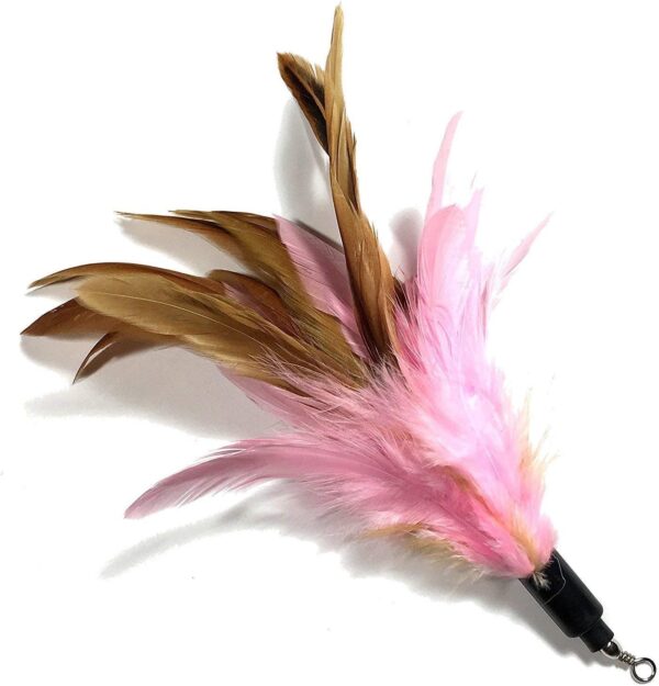 onebarleycorn Cat Toys Feather Refills for Cat Wand Toys Interactive include Replacement Feathers - Image 2