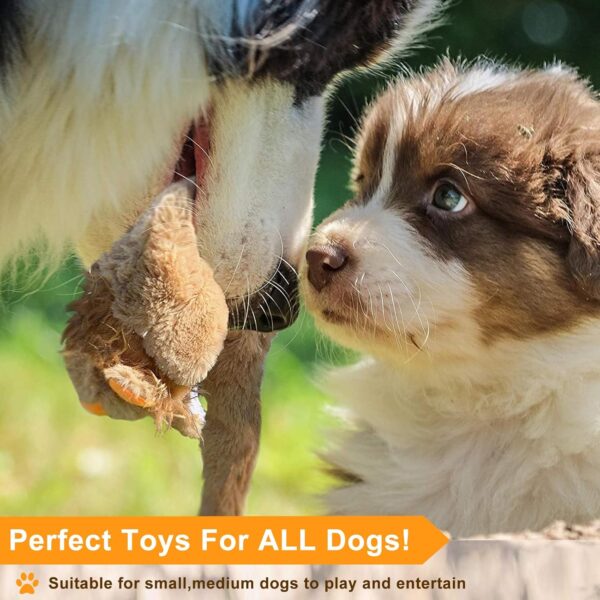 Jeeper Squeaky Dog Toys, 3 Pack no Stuffing Durable Plush Dog Squeaky Chew Toys Set for Puppy Small Medium Large Dogs Playing Making Fun, Wolf, Tiger, Leopard and Lion - Image 8