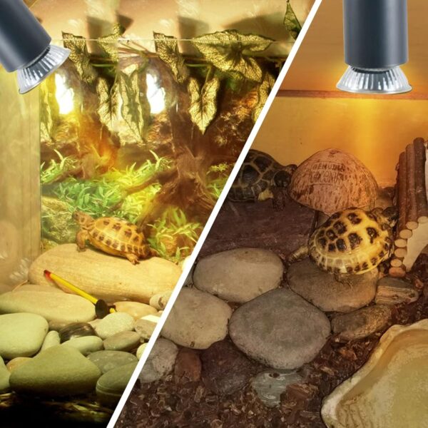 LUCKY HERP Reptile Heat Lamp Bulb 25W 4Pack, UVA UVB Basking Lamp Bulb for Tortoise, E27 Halogen Heat Light for Turtle, Lizard, Bearded Dragon - Image 5