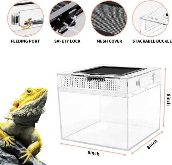 Reptile Growth Mini reptile tank（PC）,8" x 8"x 8" vivarium with Top Sliding Door Screen Ventilation for Small Fish,Insect,Snail,Gecko，Tarantula,Bearded Dragon,Jumping Spider,Stick Insect - Image 4