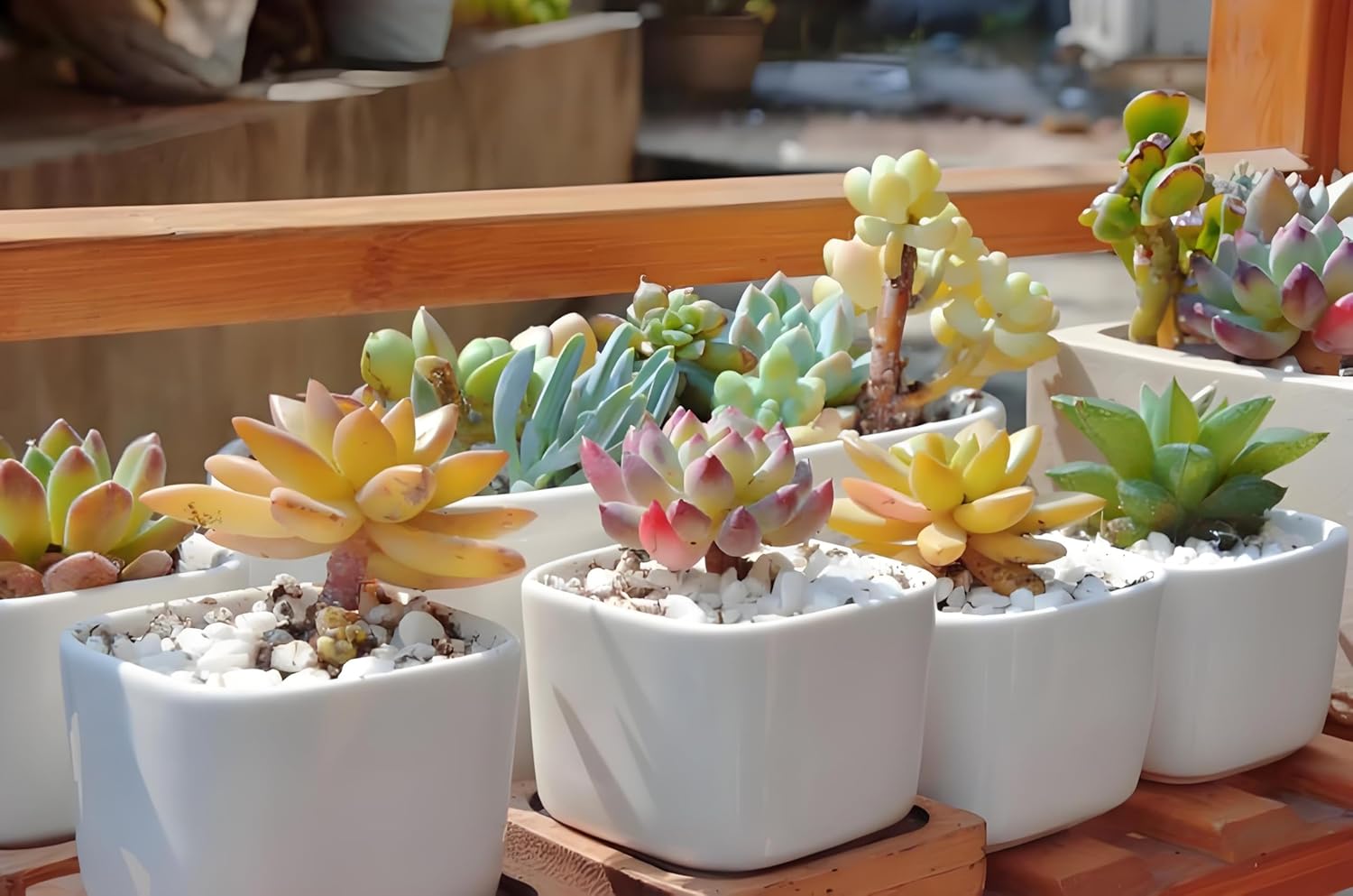 JeeMooTown 1.8KG(3.96LB) Small White Decorative Stones Pebbles for Plant Pots, 6-9mm White Fish Tank Aquarium Gravel Stones, Natural Stones, Smooth Finished - Image 6