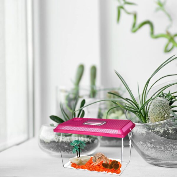 All in One Starter Kit Hermit Crab Habitat Supplies, DIY Terrarium Pack with Plastic Cage, Gravel, Scooper, Sponges, and Palm Tree Feeder for Crabs and Reptiles, 5 Pieces - Image 7