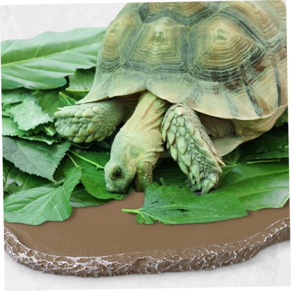 Yardwe 2pcs Climbing Pet Food Box Reptile Food Basins Pet Feeding Bowls Pet Feeding Dishes Water Holders Lizard Supplies Reptile Water Dish Resin Pet Food Basin Tortoise Food Bowls - Image 9
