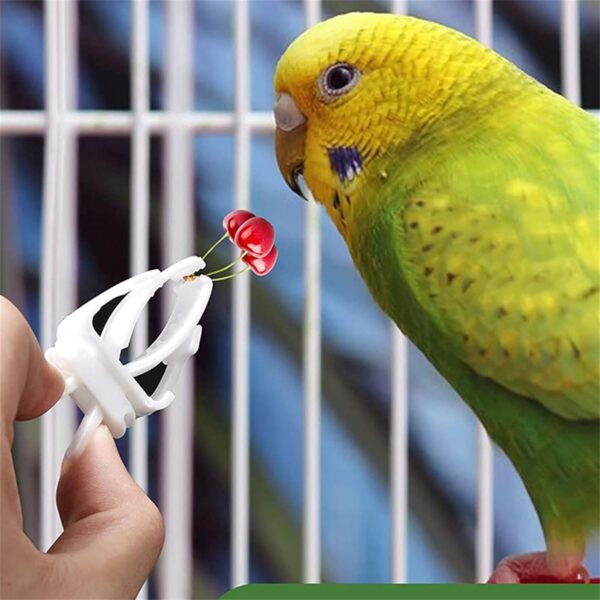 10 Pcs Pet Bird Food Holder Clip Toy for Parrot Parakeets Cockatiel Conure Parrots Fruit Holder Toy Feeding Supplies - Image 7