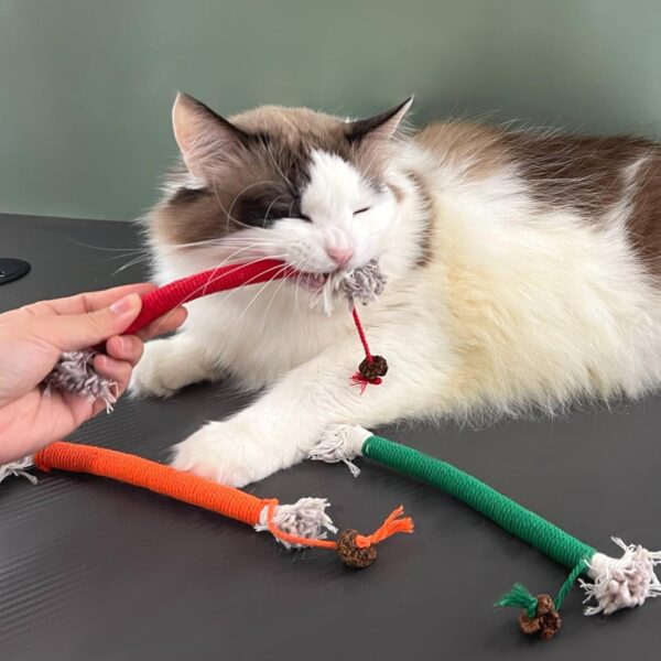 SUOXU Catnip Toy Bite Rope, Interactive Cat Toy for Indoor Cats, Cat Teeth Cleaning Kitten Teething cat nip Chewing Toy Rope, Filled Natural Catnip Stress Release Cotton Rope Toy, 4 Pcs - Image 5