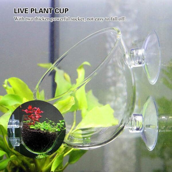 Smavles Aquatic Plant Crystal Clear Glass Cup 4 Pcs Aquatic Plant Cup Holder Plant Glass Pot Aquarium with Suction Cups for Aquatic Holder Fish Tank Accessory Aquarium Decoration - Image 5