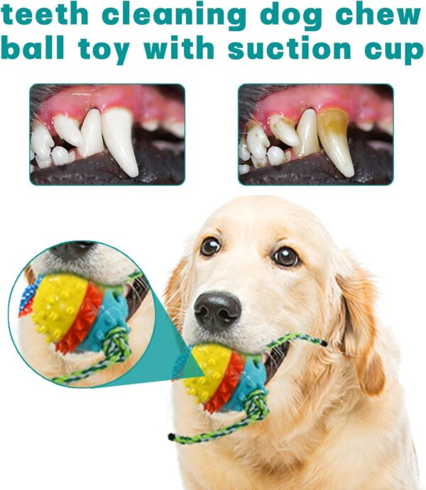 Dog Toys Ball,Interactive Dog Toys Tug of War,Dog Toys for Aggressive Chewers,Dog Self Playing Toys for Boredom With Individually&Removable Suction Cups, Also For Pets Bathing Brushing Playing - Image 6