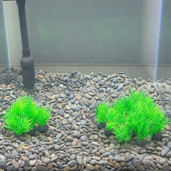 Smoothedo-Pets Aquarium Plants Fish Tank Decorations 20pcs Small Size/1inch Tall Plastic Artificial Plant Goldfish Waterscape Fish Hides Mini Grass Set (Green-C) - Image 7