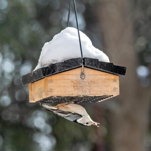 Natures Way CWF2 Bird Products Cedar Suet Upside-Down Bird Feeder ,Black - Image 7
